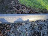 image of grave number 364210
